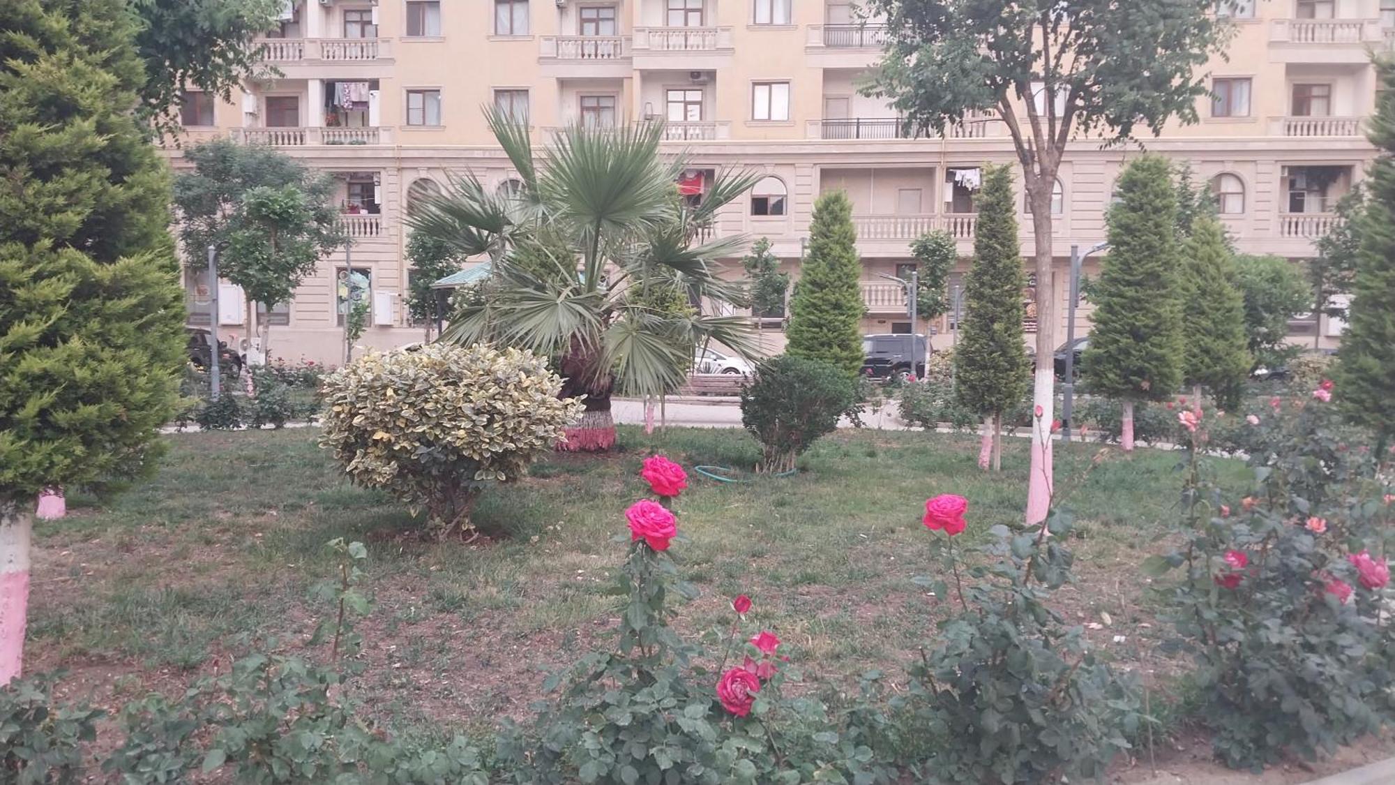 Banu House Apartman Sumqayıt Kültér fotó